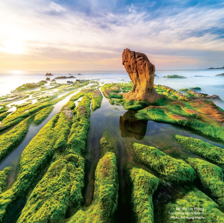 lam-dong-quang-ba-hanh-trinh-bien-hoa-va-dai-ngan-tai-ha-noi-b-travelmagazin-1-1786508824.jpg