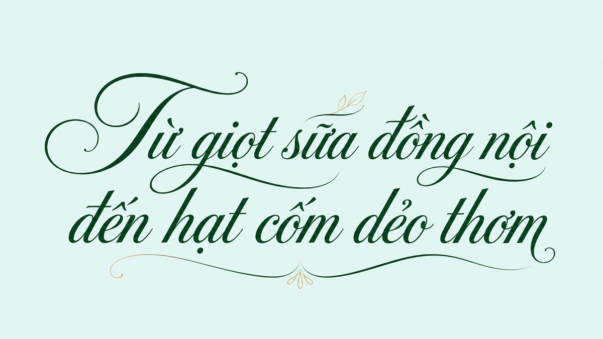 com-sua-huong-thu-ha-thanh-travelmagazin-4-1788255691.png