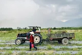 Thông báo tuyển dụng thực tập sinh Nông nghiệp khóa 12/2023 của The Moshav Farm
