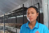 Khởi nghiệp với 2 triệu đồng, vợ chồng chị Lê Hồ Thùy Linh thu tiền triệu mỗi ngày với trại nấm "khổng lồ"