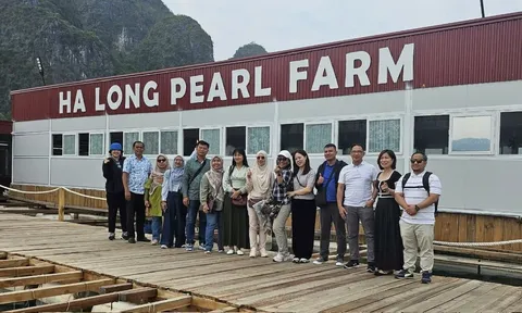 Giới thiệu làng nghề nuôi cấy ngọc trai đến với bạn bè kiểm toán quốc tế