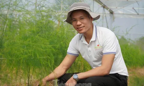 Chàng trai phát triển đam mê làm nông nghiệp sạch