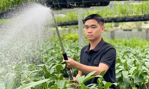 Khởi nghiệp năm 16 tuổi, chàng trai thu lãi cả tỷ đồng/năm