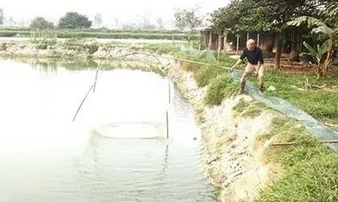Vượt khó, làm giàu trên đồng đất quê hương